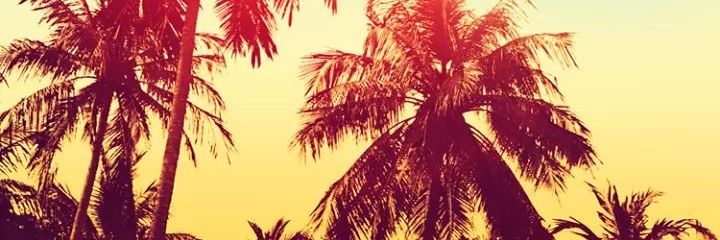 FedeCrescente_'s profile banner image