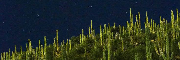 luchryan's profile banner image