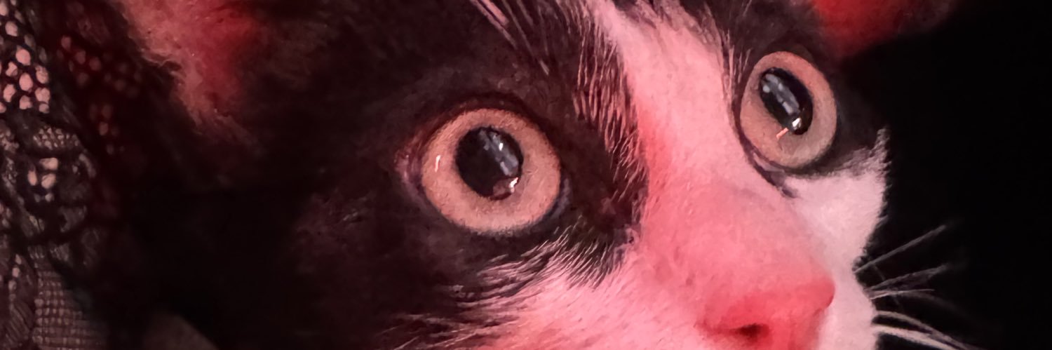 Sharkaido's profile banner image