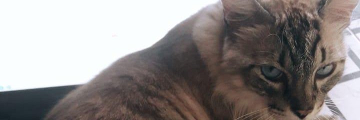 m4xh_'s profile banner image