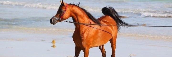 aahhbb_15's profile banner image