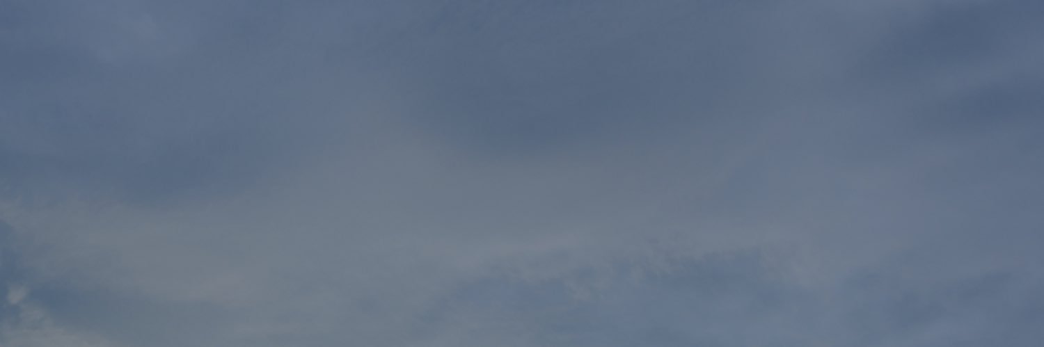 カレラ banner