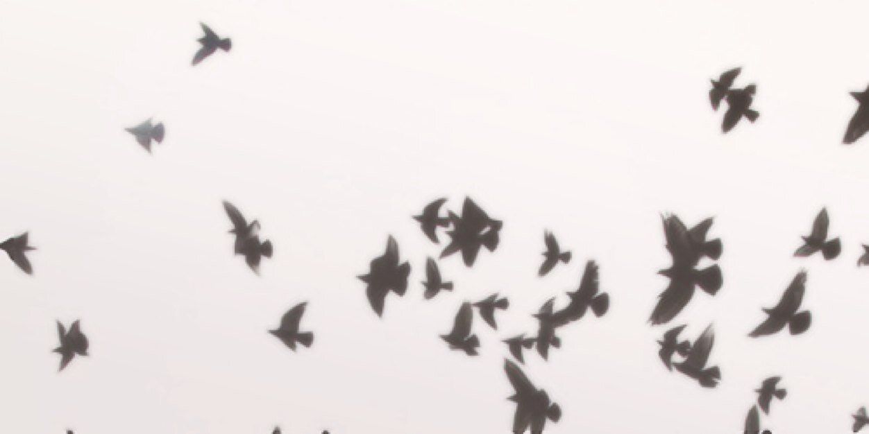 JaysonSamuelsHU's profile banner image