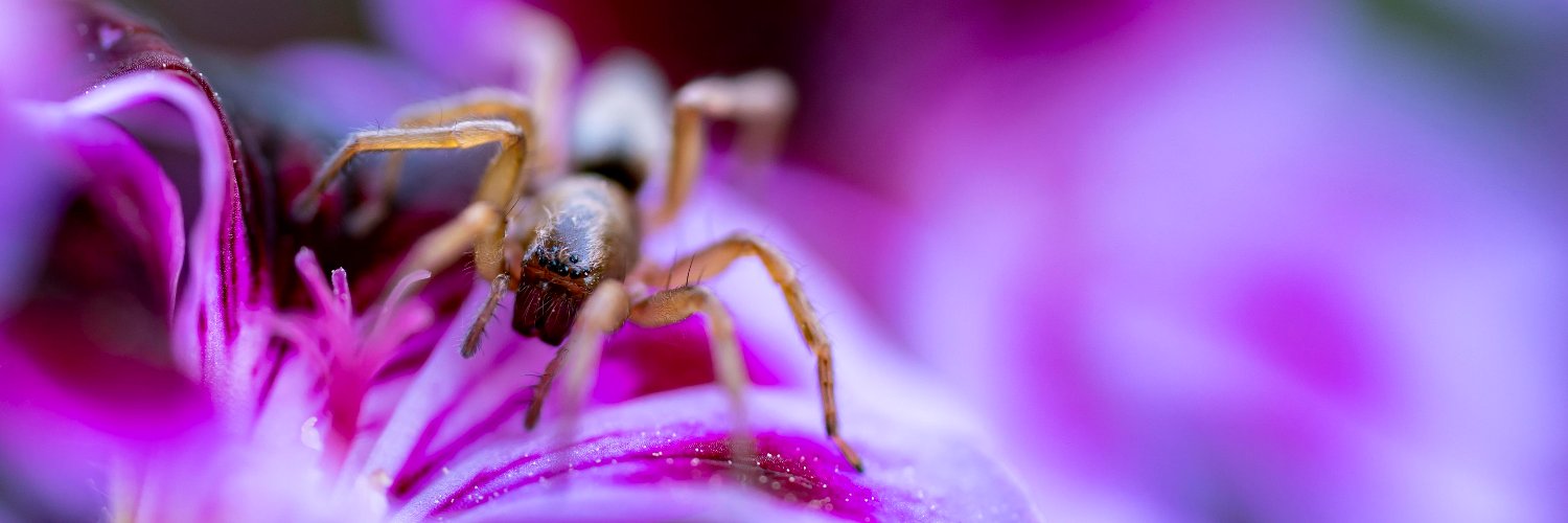 LycanthroPaul's profile banner image