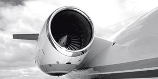 راوند ظليم banner