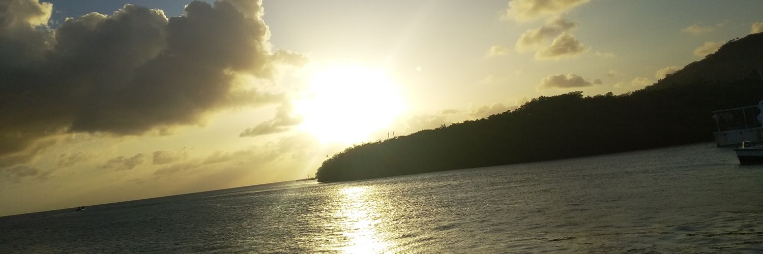 Paola Noreña banner