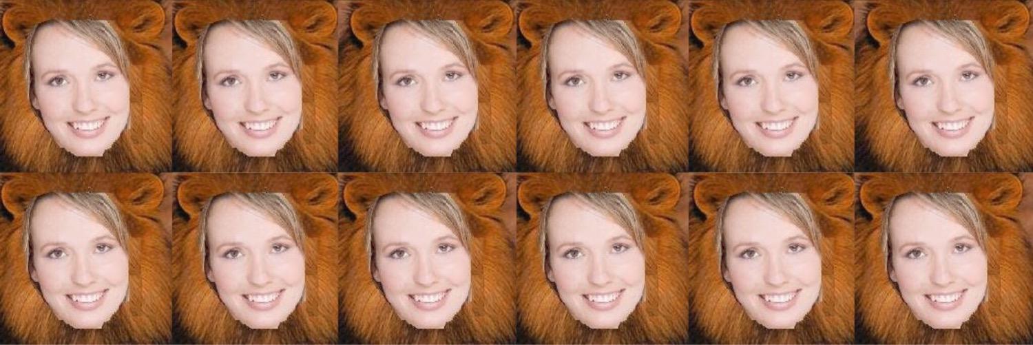 harpursbizarre's profile banner image