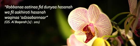 IamJustTika's profile banner image