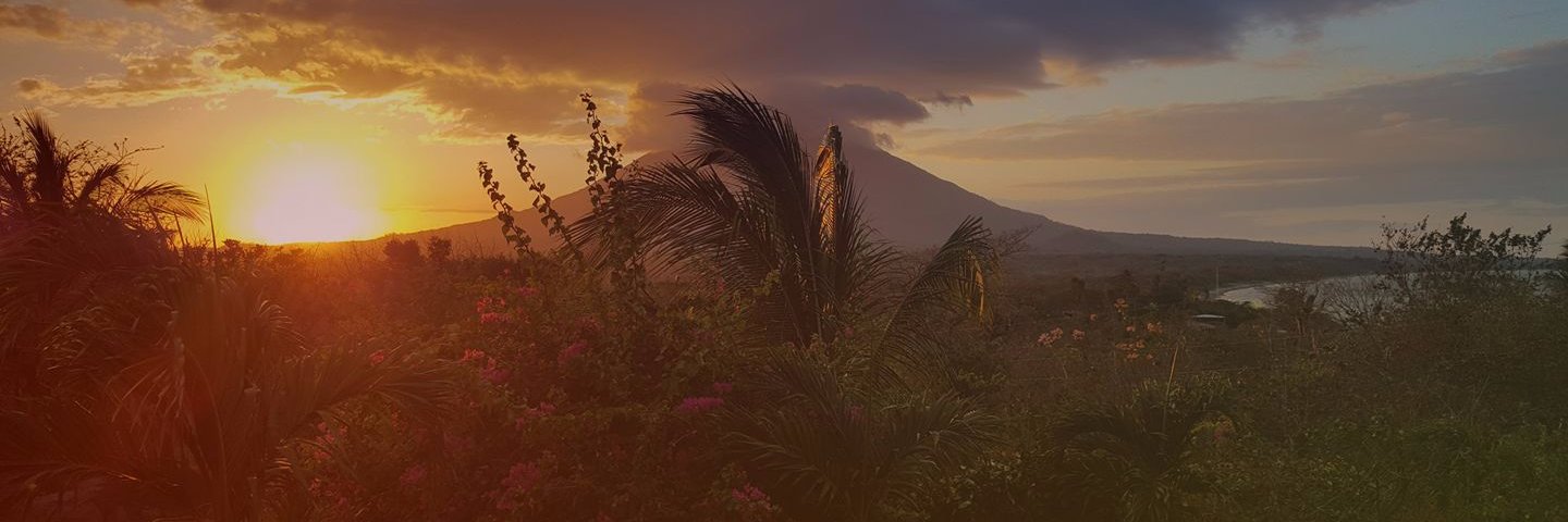 Stephane Perron banner