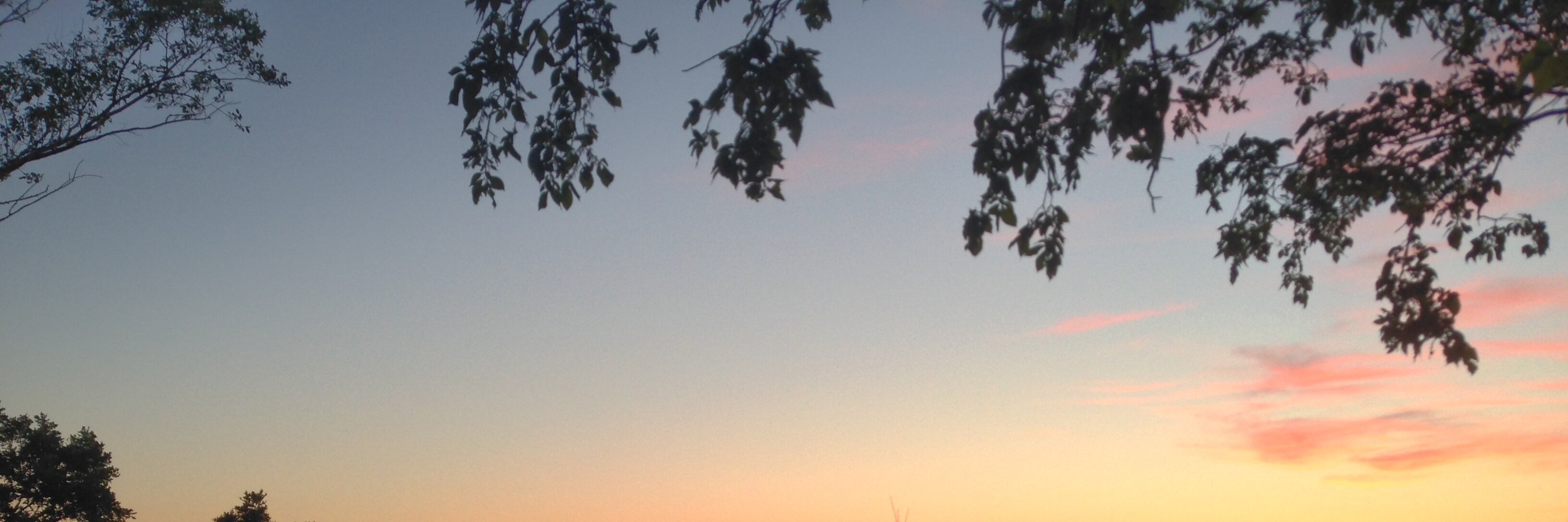 chradamo's profile banner image