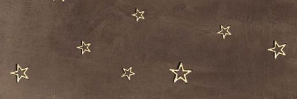 shllyval's profile banner image