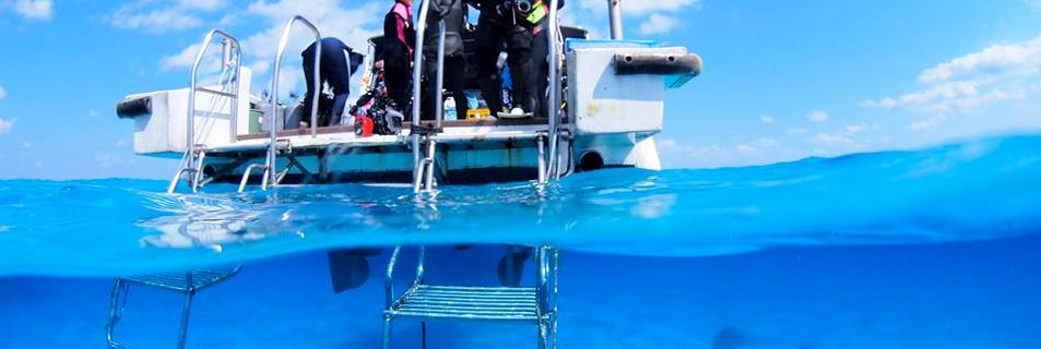 diving_ya's profile banner image