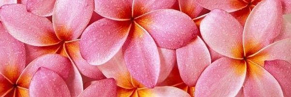 raayxo's profile banner image