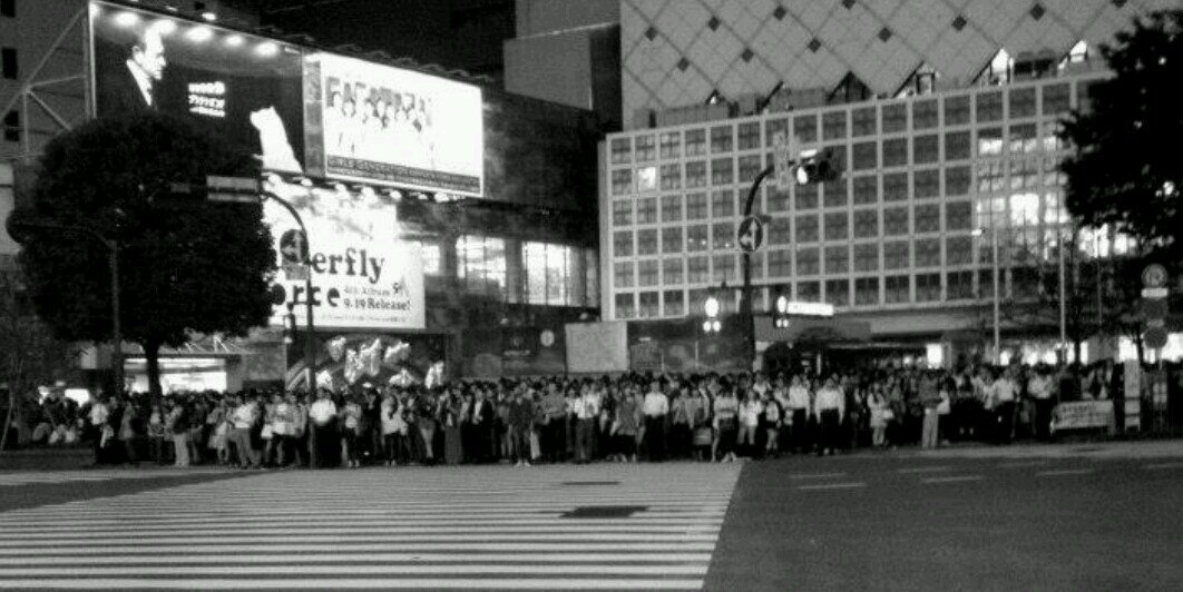 Genefa Murphy banner