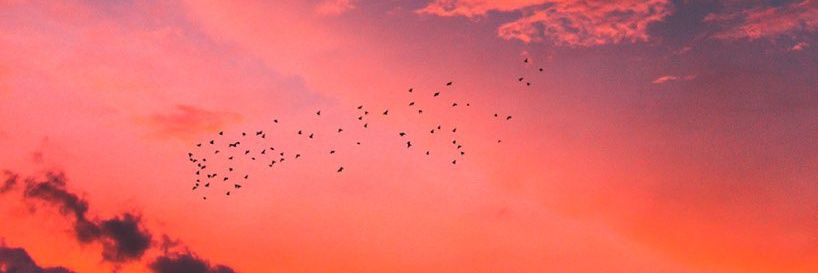 aless_trosel's profile banner image