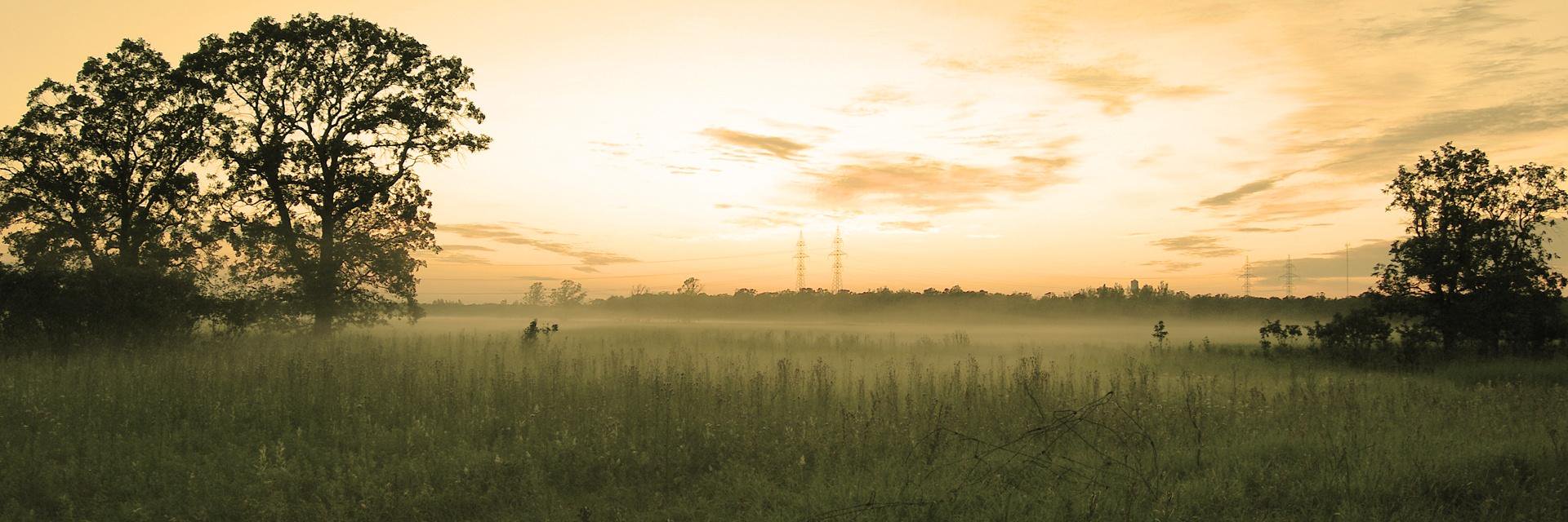 _Eddi1_'s profile banner image
