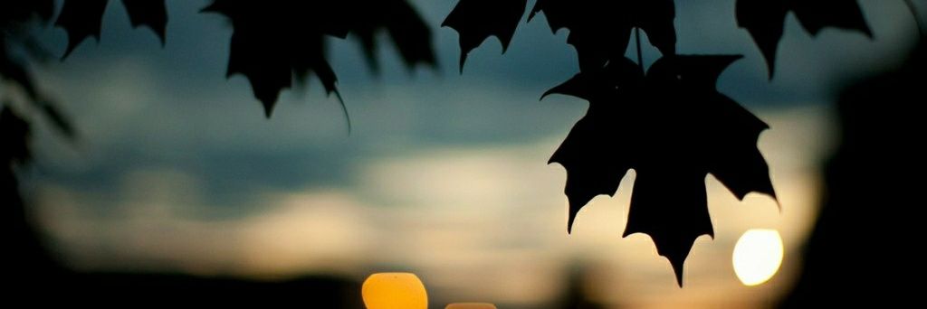 MarStarJB's profile banner image