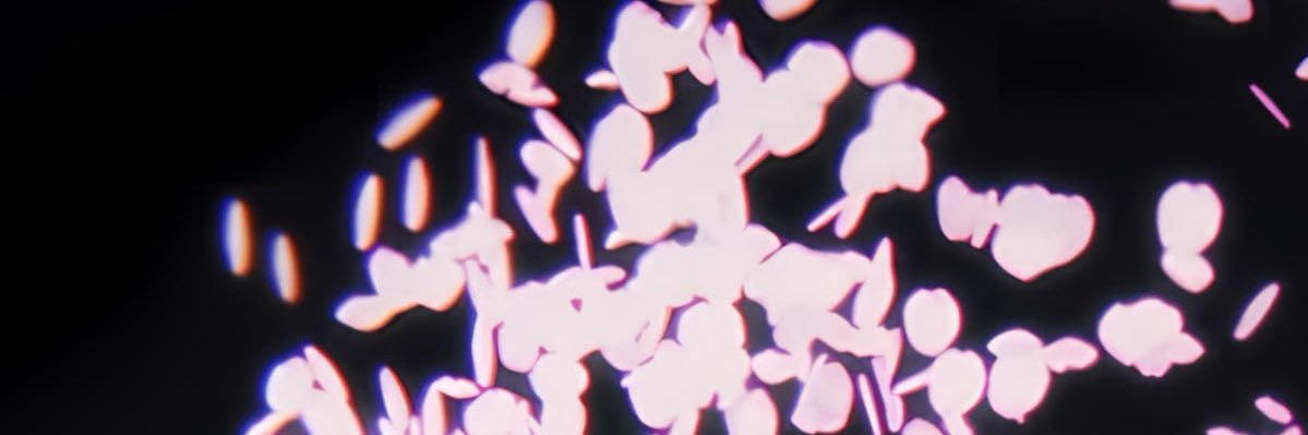 iFamos banner
