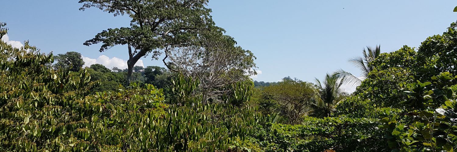 DubesNathalie's profile banner image