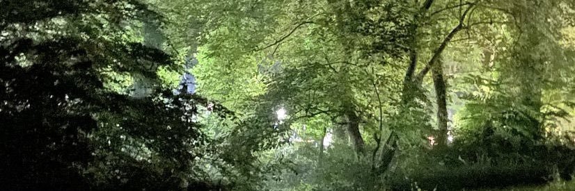 JimmyJamesSmile's profile banner image