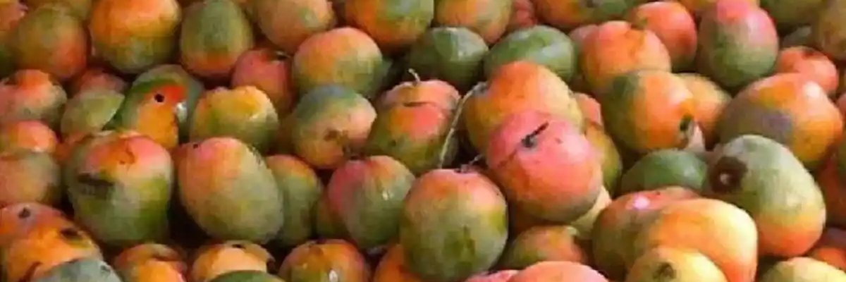 mfeldma3's profile banner image