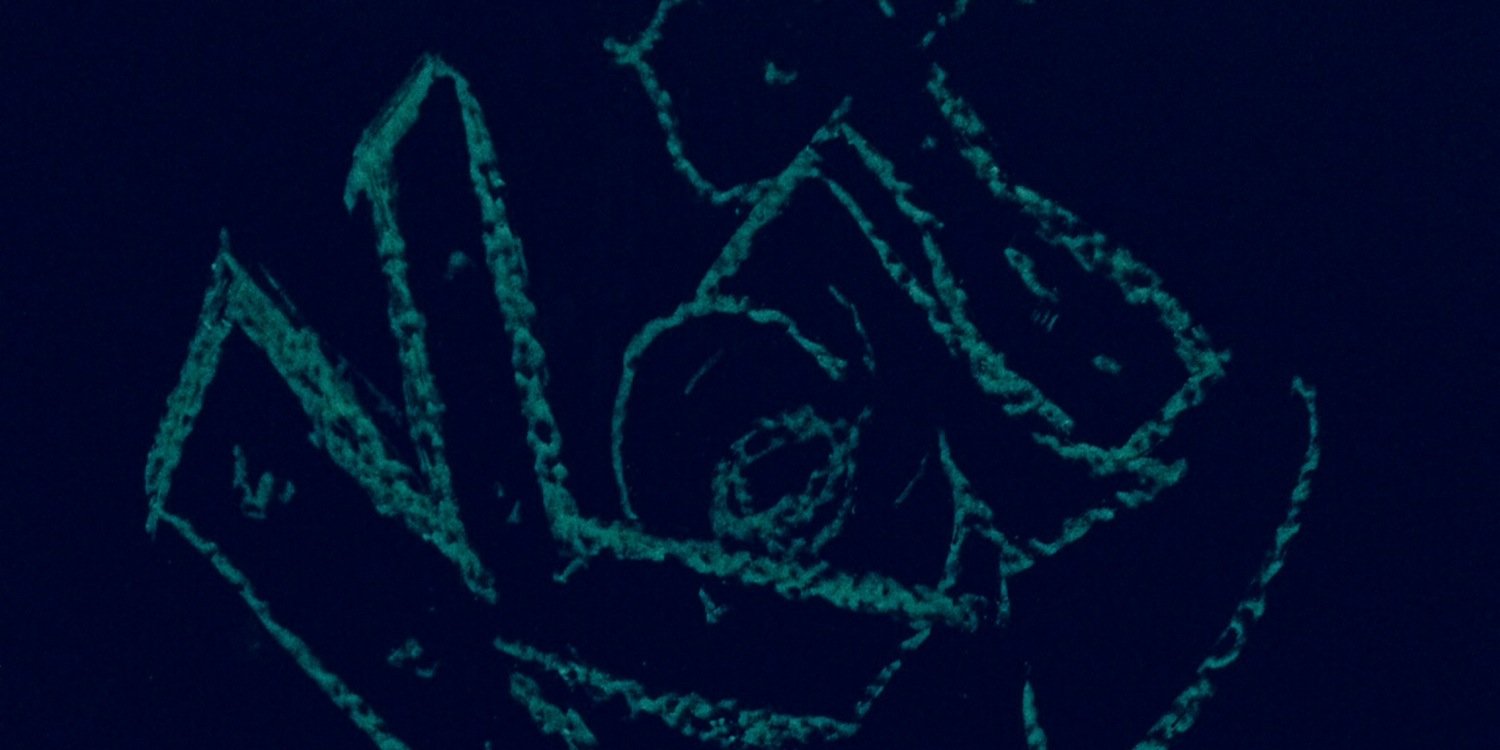 Ulikekat's profile banner image