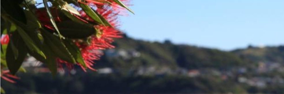 DitchThePricksIn26 banner