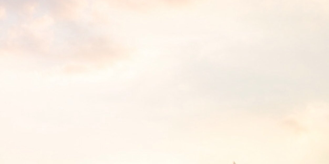 colormecake's profile banner image