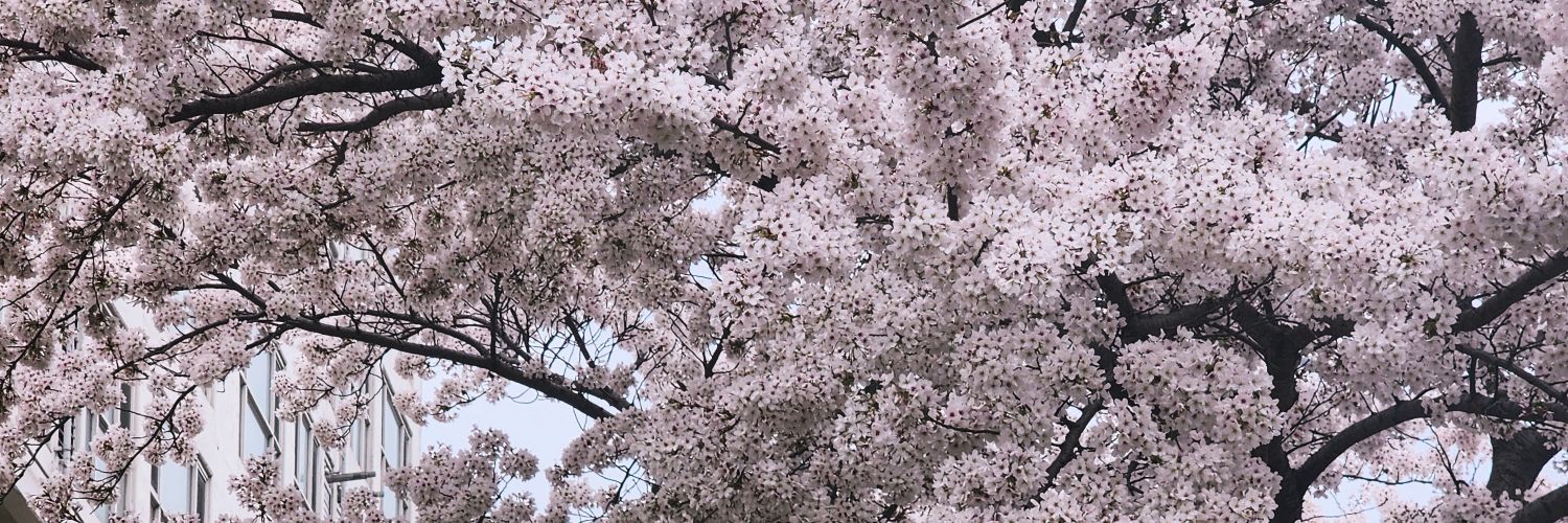 하진 banner