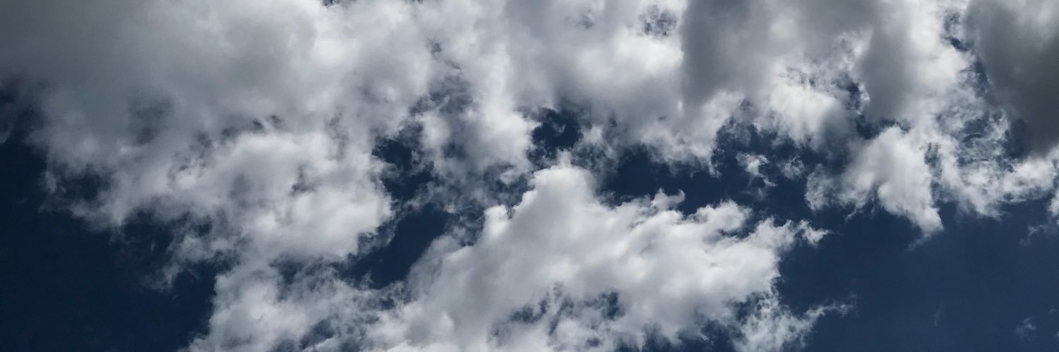 michellestorud's profile banner image