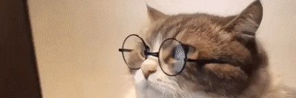 That Cat Guy 🐈🖤🐇 banner