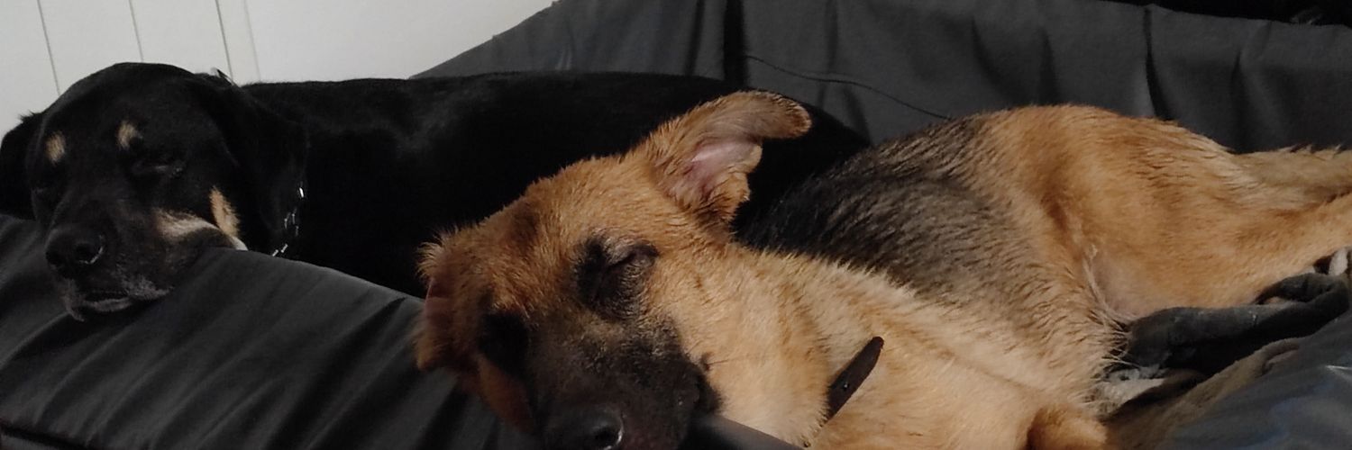 Francois Vilcot banner