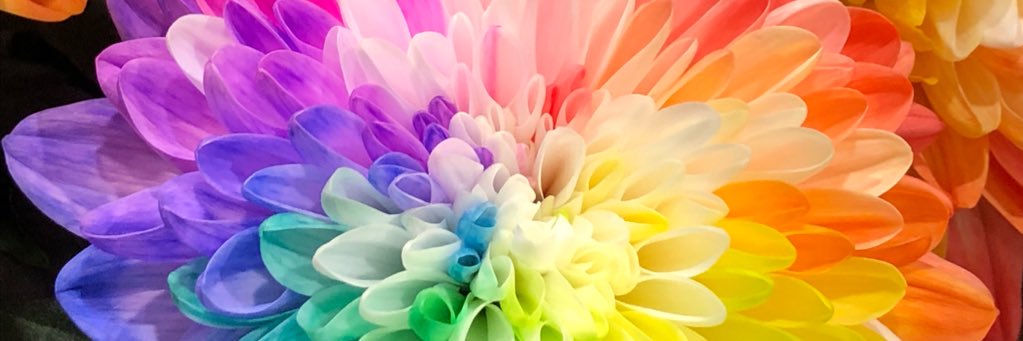 a312530713's profile banner image