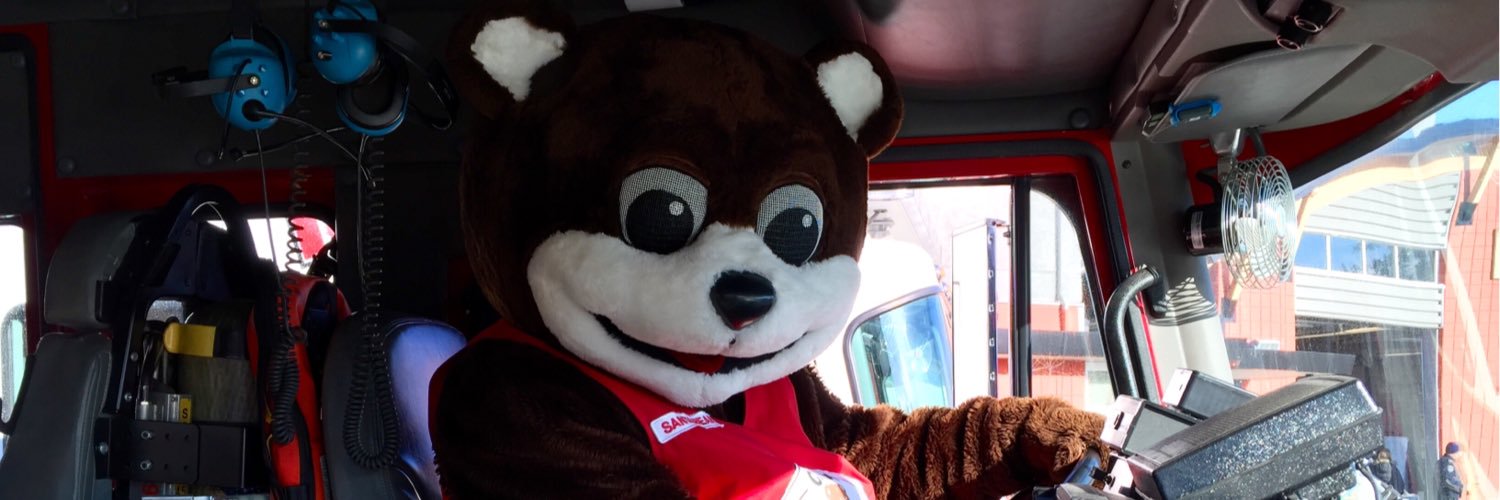 Santa Bear banner
