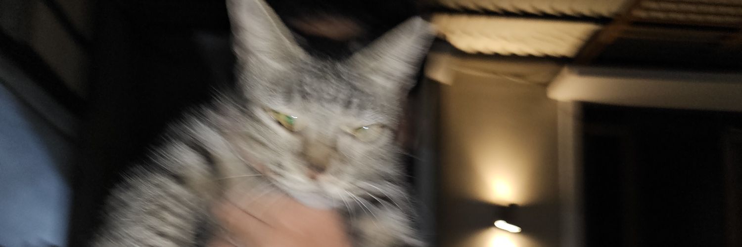 naichiii's profile banner image