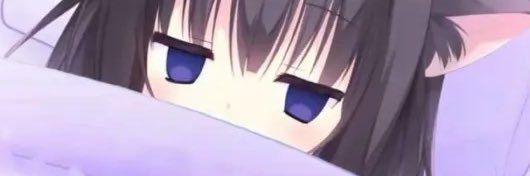 幼犬小鱼 banner