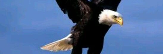 DavyOmondi's profile banner image