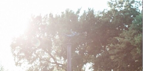 NLVac's profile banner image