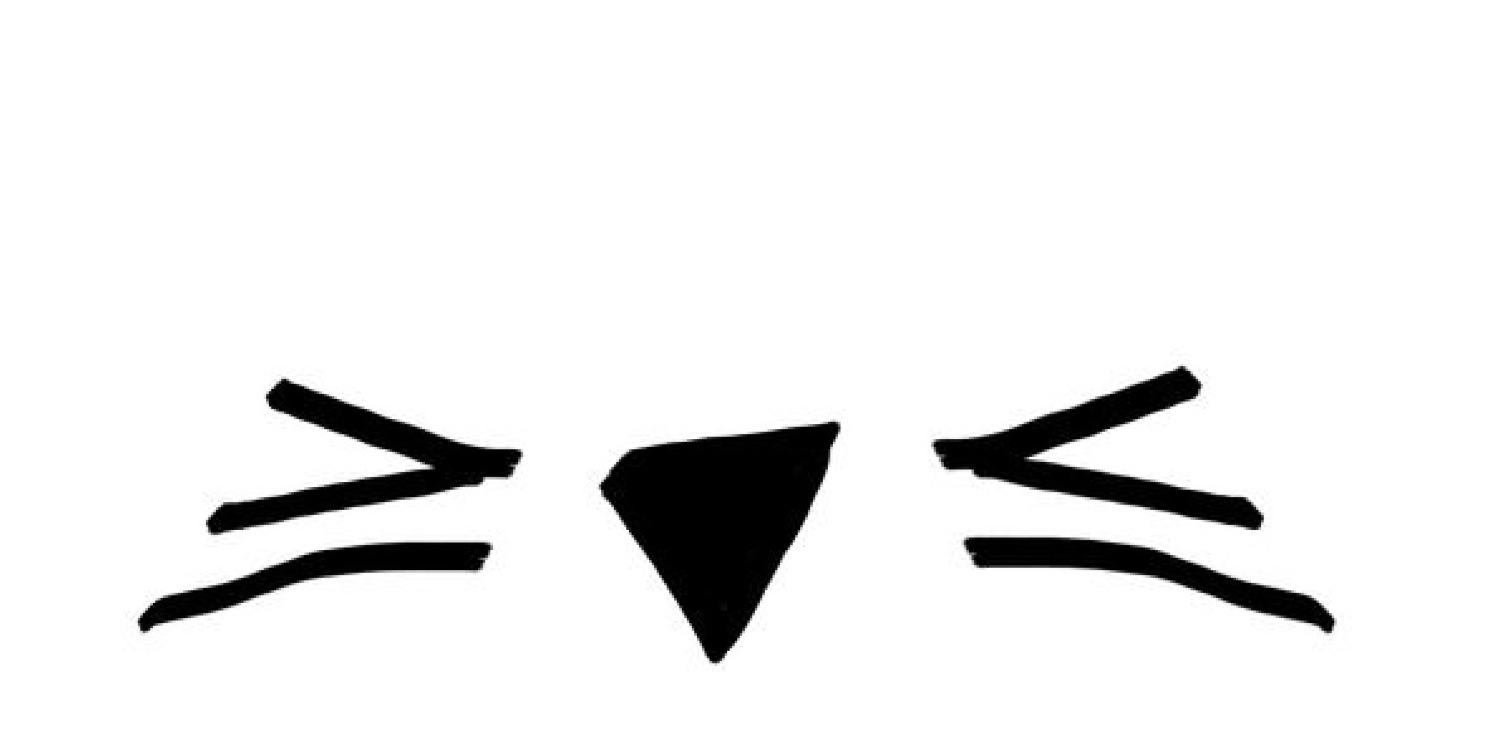webstershes's profile banner image