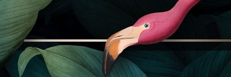 Jesscajeje's profile banner image
