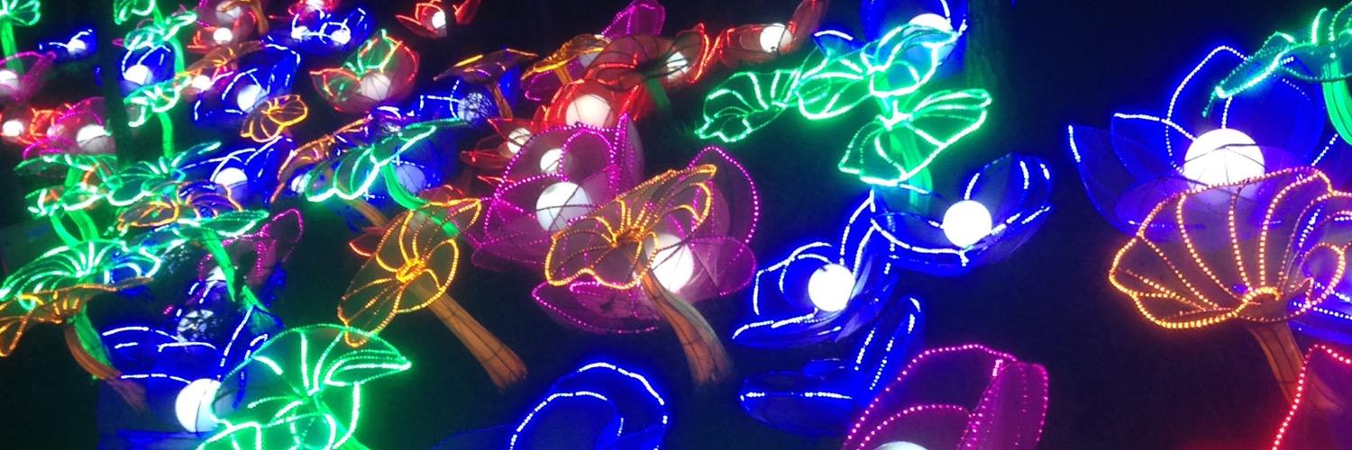 bunniturtle's profile banner image