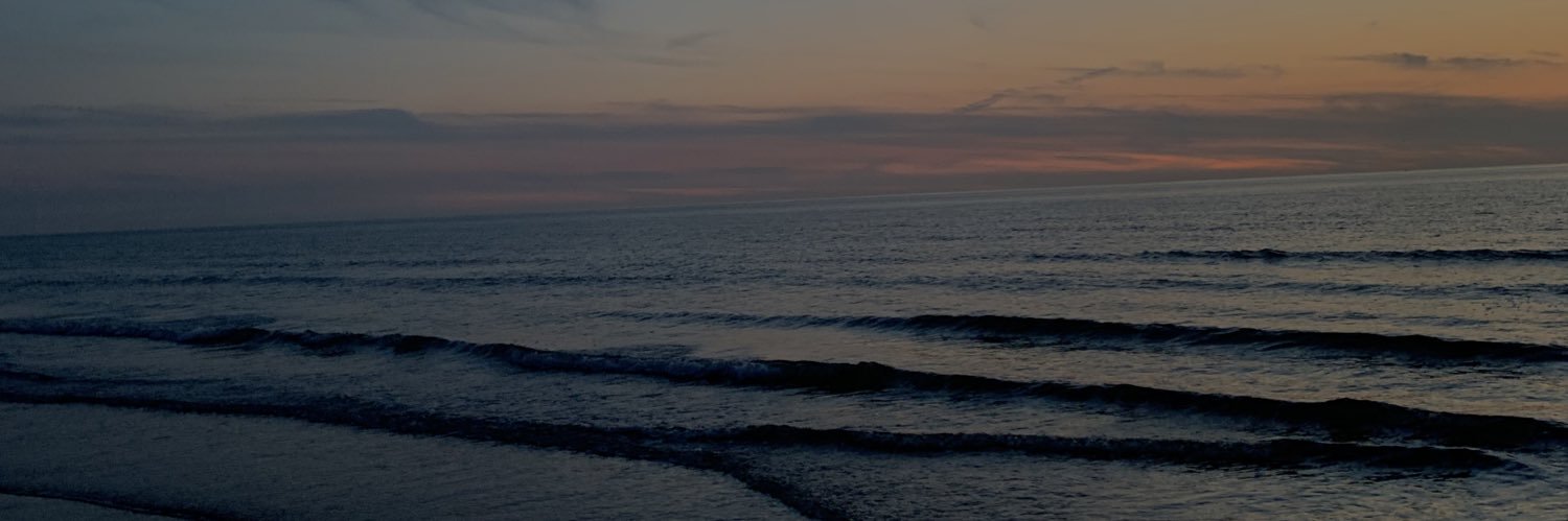 amymoerman's profile banner image