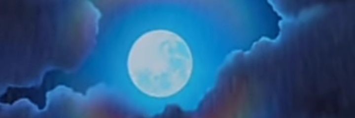 bearzunza's profile banner image