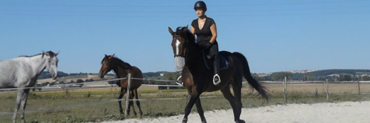eglantine81's profile banner image