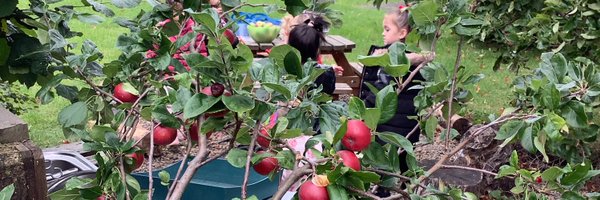 Mrs_Crellin Profile Banner