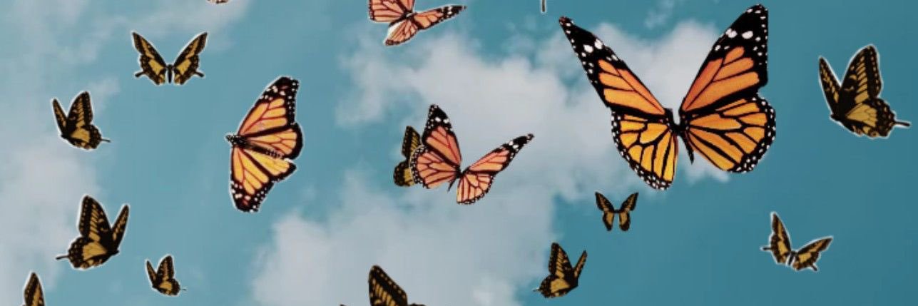 samwozz's profile banner image