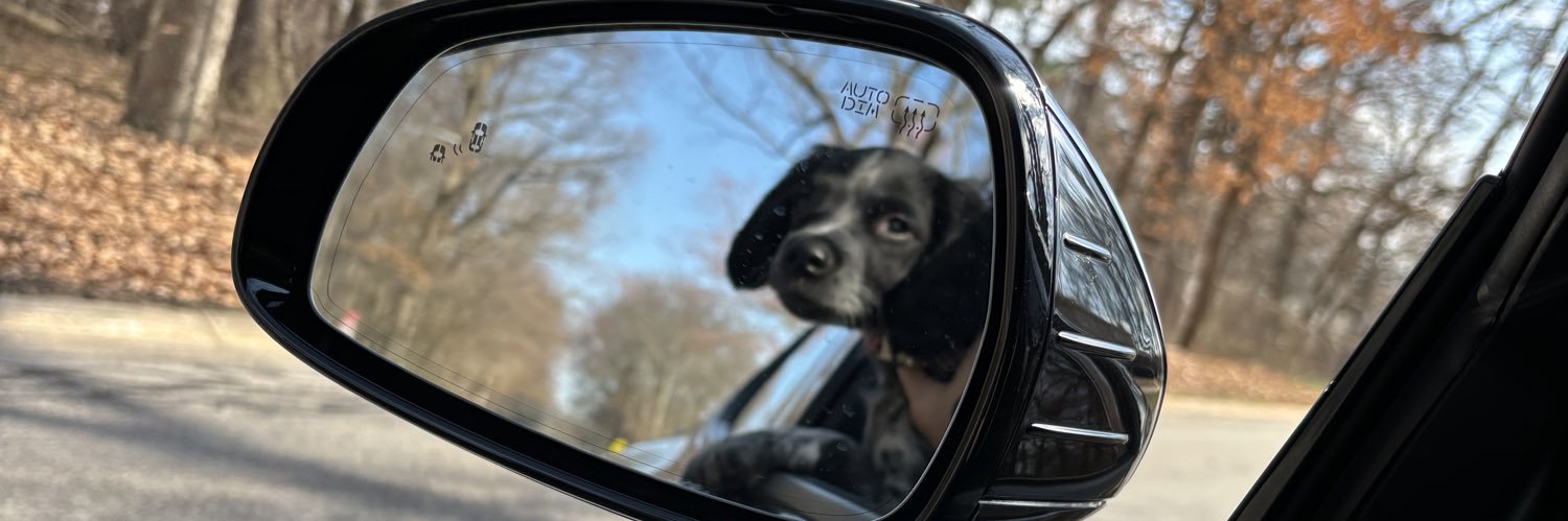mmender2's profile banner image