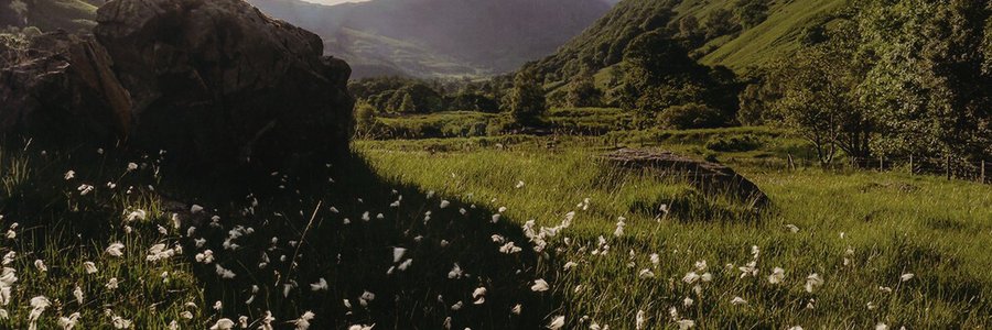 biindaaaa's profile banner image