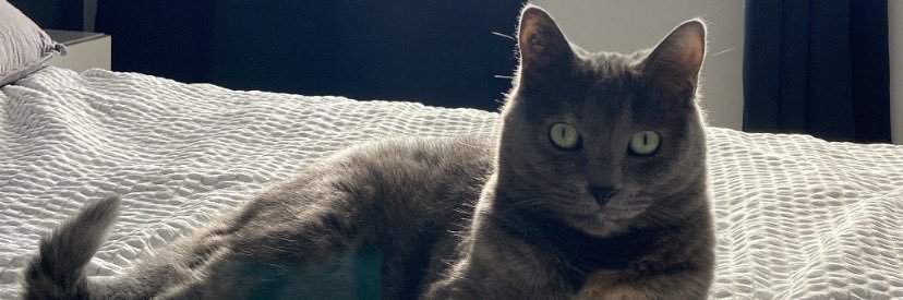 CstNelly's profile banner image