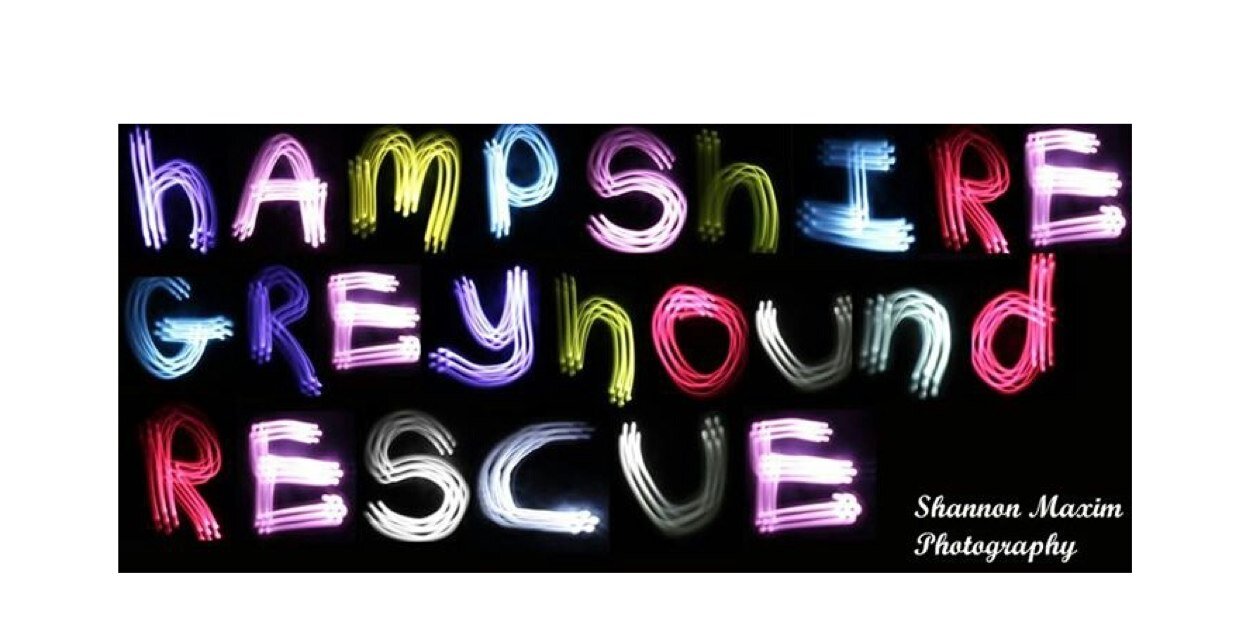 Hampshire Greyhound  banner